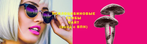 ГАЛЛЮЦИНОГЕННЫЕ ГРИБЫ Абдулино