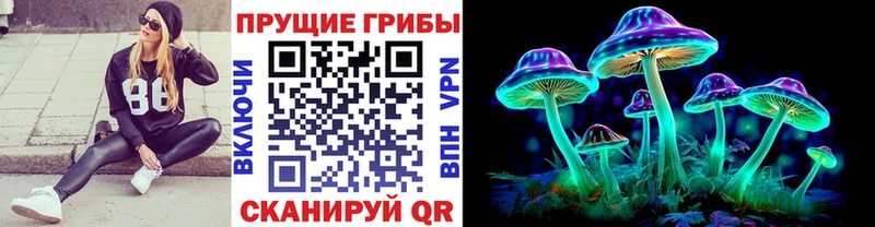 Галлюциногенные грибы Psilocybe  Струнино 
